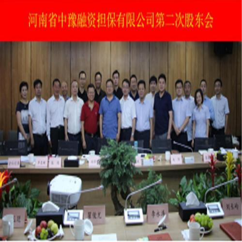 中豫融資擔(dān)保公司